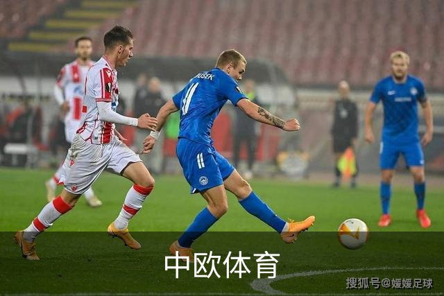 中欧体育公司简介